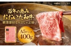 「百年の恵み おおいた和牛」A5しゃぶしゃぶ 400g おおいた和牛 黒毛和牛 牛肉 A5等級 大分県 霜降り ロース 肩ロース もも 肩部位 スライス 風味 豊か 脂肪質 種雄牛 血統 厳選部位