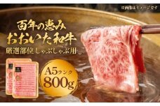 「百年の恵み おおいた和牛」A5しゃぶしゃぶ 800g おおいた和牛 大分県産 黒毛和牛 A5ランク 牛肉 霜降り肉 ロース 肩ロース もも 美味しい 高評価 800g A5