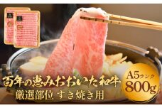 「百年の恵み おおいた和牛」A5すき焼き 800g 大分 九州 和牛 黒毛和牛 しゃぶしゃぶ ロース 肩ロース もも スライス 肉 牛肉 A5 霜降り