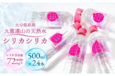 九州天然水 シリカシリカ 500ml×24本 九州 天然水 シリカ シリカ水 500ml 24本 飲料水 軟水 美容 ミネラル 大分県 玖珠町 くじゅう連山 名水百選 ナチュラルミネラルウォーター アクアポリン 肌 髪 コラーゲン ケラチン 秋田県立大学 透過性 高含有量