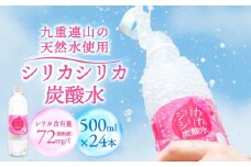 強炭酸水 九州 天然水 シリカ 500ml 24本 飲料水 炭酸水 美容 ミネラル 大分県 玖珠町