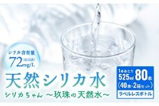 天然 シリカ 水 525ml × 40本 × 2箱 ＜シリカちゃん〜玖珠の天然水〜＞ ラベルレス 天然水 シリカ水 ミネラルウォーター 大分県 国産 天然シリカ 水 シリカ水 ミネラルウォーター 国産 保存可能 水 ペットボトル 長期保存水 備蓄水 備蓄用 非常災害備蓄用 災害 避難用品 防災 SDGs