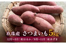 大分県産 玖珠産　さつまいも5kg　紅はるか （12月～8月） 紅あずま （9月～11月）　