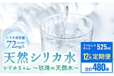 [定期便 12ヶ月] 天然 シリカ 水 525ml × 40本 ＜シリカちゃん〜玖珠の天然水〜＞ ラベルレス 天然水 シリカ水 ミネラルウォーター 国産 SDGs