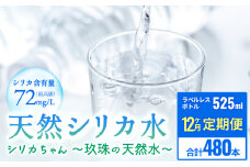[定期便 12ヶ月] 天然 シリカ 水 525ml × 40本 ＜シリカちゃん〜玖珠の天然水〜＞ ラベルレス 天然水 シリカ水 ミネラルウォーター 国産 SDGs