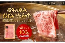 「百年の恵み おおいた和牛 」しゃぶしゃぶ用 400g × 3ヶ月 定期便 おおいた和牛 黒毛和牛 A5 等級 しゃぶしゃぶ用 牛肉 ロース 肩ロース もも 肩 部位 霜降り 血統 風味 脂肪 産地 九州 大分 肉 食材 グルメ 豊後牛