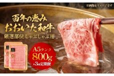 「百年の恵み おおいた和牛 」しゃぶしゃぶ用 800g × 3ヶ月 定期便 おおいた和牛 黒毛和牛 A5 等級 しゃぶしゃぶ用 牛肉 ロース 肩ロース もも 肩 部位 霜降り 血統 風味 脂肪 産地 九州 大分 肉 食材 グルメ 豊後牛