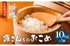 《先行予約》令和7年度産 原さんちのお米 10kg ひとめぼれ 特別栽培米 原農園 有機栽培 化学肥料不使用 アートテン農法 抗酸化農法 完熟堆肥 有効微生物農法 産直 お米 栄養価 体に良い おいしい 安心 田植え 収穫