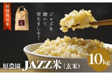 《先行予約》令和7年度産 原農園 JAZZ米 (玄米) 10kg ひとめぼれ JAZZ米 JAZZ 玄米 原農園 米 銘柄米 きりかぶ山 水 肥料 有機質肥料 特別栽培米 抗酸化農法 光合成細菌 堆肥 アートテン農法 有効微生物農法 健康 食品 完熟堆肥