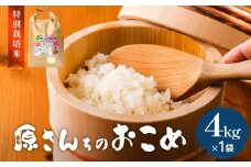 《先行予約》令和7年度産 原さんちのお米 ４kg  ひとめぼれ  特別栽培米 原農園 有機栽培 化学肥料不使用 アートテン農法 抗酸化農法 完熟堆肥 有効微生物農法 産直 お米 栄養価 体に良い おいしい 安心 田植え 収穫