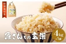 《先行予約》令和7年度産 原さんちの玄米 玄米 4kg ひとめぼれ 有機質肥料 特別栽培米 原農園 完熟堆肥 アートテン農法 抗酸化農法 有効微生物農法 光合成 体に良い 美味しい お米 安全 清潔 環境に優しい 栄養価 高品質 産地直送 健康志向