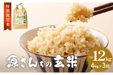 《先行予約》令和7年度産 原さんちの玄米 4kg ひとめぼれ 3ヶ月 定期便 ひとめぼれ 有機質肥料 特別栽培米 原農園 完熟堆肥 アートテン農法 抗酸化農法 有効微生物農法 光合成 体に良い 美味しい お米 安全 清潔 環境に優しい 栄養価 高品質 産地直送 健康志向 農産物
