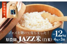 令和7年度産 原農園 JAZZ米 白米 ４kg ひとめぼれ 3回定期便 JAZZ 有機栽培 特別栽培米 堆肥 光合成細菌 有効微生物 アートテン農法 抗酸化農法 有効微生物農法 きりかぶ山 地力 白米 環境 地域特産 自然栽培 完熟堆肥 健康