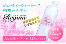 シリカウォーター Regina（レジーナ）40本