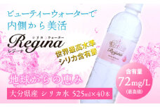 シリカウォーター Regina（レジーナ）40本