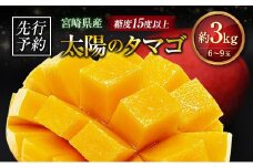 ≪先行予約≫ 宮崎県産 完熟マンゴー「太陽のタマゴ」約3kg 計6～9玉 2026年発送 ブランド 南国 トロピカル フルーツ 果物 くだもの 化粧箱入り