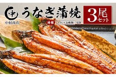 ◆中村商店 うなぎ蒲焼3尾セット 計543g以上