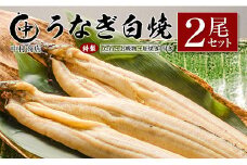 ◆中村商店 うなぎ白焼2尾セット 計362g以上 肝焼き付