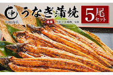 ◆中村商店 うなぎ蒲焼5尾セット 計905g以上