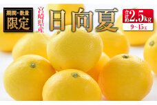 ◇宮崎県産ハウス日向夏 合計約2.5kg（9～15玉入）