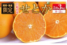 ◇宮崎県産 せとか 約3kg（8～12玉入）