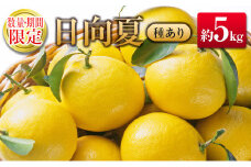 ◇宮崎県産 露地日向夏 約5kg（満杯詰め）