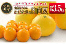 ◆みやざきブランドセット（完熟きんかん たまたま・日向夏）合計約3.5kg 宮崎県産