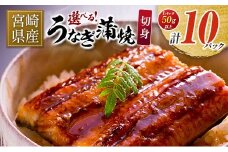宮崎県産 うなぎ 蒲焼 切身 10パック 計500g 個包装 国産 鰻 10枚 