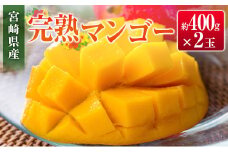 ◇宮崎県産 完熟マンゴー（2玉）
