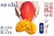 ◇宮崎県産完熟マンゴー[青秀] 合計約1kg（2～3玉）