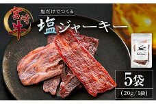 塩だけでつくる 宮崎牛 塩ジャーキー 5袋（20g×5袋）ブランド牛 ビーフジャーキー おつまみ 珍味 グルメ 干し肉 宮崎県産