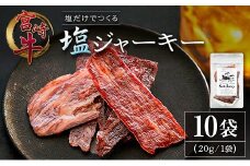 塩だけでつくる 宮崎牛 塩ジャーキー 10袋（20g×10袋）ブランド牛 ビーフジャーキー おつまみ 珍味 グルメ 干し肉 宮崎県産