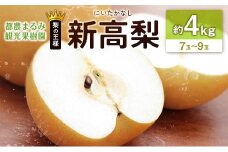 新高梨（にいたかなし） 約4kg 7玉～9玉 天然ミネラル栽培 ナシ フルーツ 果物 くだもの 旬 宮崎県