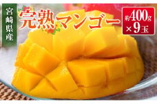 ◆宮崎県産 完熟マンゴー（9玉）
