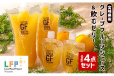 宮崎県産グレープフルーツジュース（ご家庭用パウチ）＆飲むゼリー合計4点セット LFP