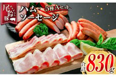 【PREMIUM PORK】 尾鈴豚 ハム ソーセージ 詰め合わせ 合計830g 5種 Aセット 宮崎県産
