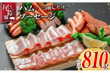 【PREMIUM PORK】 尾鈴豚 ハム ソーセージ 詰め合わせ 合計810g 5種 Cセット 宮崎県産
