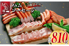 【PREMIUM PORK】 尾鈴豚 ハム ソーセージ 詰め合わせ 合計810g 5種 Bセット 宮崎県産