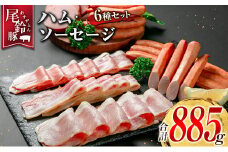 【PREMIUM PORK】 尾鈴豚 ハム ソーセージ 詰め合わせ 合計885g 6種 セット 宮崎県産