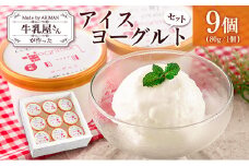 牛乳屋さんが作った アイスヨーグルト セット 80g 9個 カップ 宮崎県産