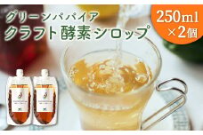 クラフト酵素シロップ グリーンパパイア 250ml×2個 宮崎県産