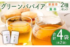 グリーンパパイアティー 2種 セット (果実茶＆葉茶) ティーバッグ 計4袋 宮崎県産
