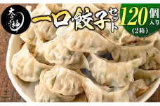 ◇「一口餃子の大明神」一口餃子セット 2箱（120個入り）