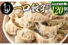 ◇＜定期便・全4回＞「一口餃子の大明神」一口餃子セット 2箱（120個入り） 毎月お届け