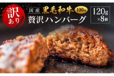 「訳あり」黒毛和牛専門店の国産黒毛和牛100％の贅沢ハンバーグ 8個
