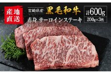 【産地直送】宮崎県産 国産 黒毛和牛 赤身 サーロインステーキ 200g×3枚