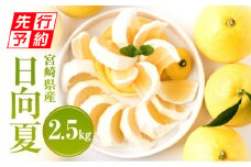 《2025年発送先行予約》【期間・数量限定】日向夏 2.5kg_M056-002_01