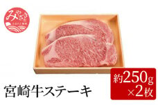 宮崎牛ステーキ(約250g×2枚)_M055-004_01