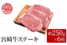 宮崎牛ステーキ(約250g×6枚)_M055-002_01