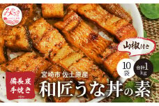  宮崎市佐土原産 備長炭手焼き 和匠うな丼の素10袋入り(計1kg) 山椒付き 冬うなぎ_M080-002_01